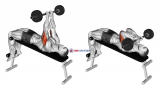 Barbell Decline Close Grip To Skull Press