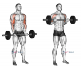 Barbell Drag Curl