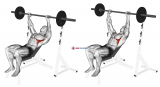 Barbell Incline Shoulder Raise