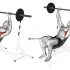 Barbell Incline Row