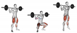 Barbell Jump Squat