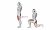Barbell Lunge