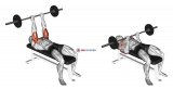 Barbell Lying Triceps Extension Skull Crusher