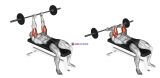 Barbell Lying Triceps Extension