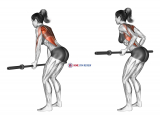 Barbell Narrow Row