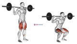 Barbell Narrow Stance Squat