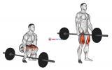 Barbell One Arm Side Deadlift