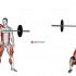Barbell One Arm Side Deadlift
