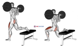 Barbell One Leg Squat