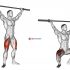 Barbell One Leg Squat