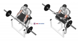 Barbell Preacher Curl