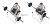 Barbell Preacher Curl