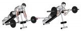 Barbell Prone Incline Curl
