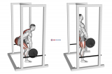 Barbell Rack Pull