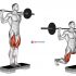 Barbell Rear Lunge