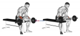 Barbell Revers Wrist Curl (version 2)