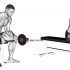 Barbell Reverse Curl