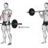 Barbell Revers Wrist Curl (version 2)