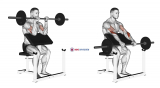 Barbell Reverse Preacher Curl