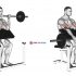 Barbell Reverse Curl