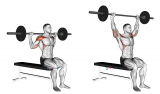Barbell Seated Behind Head Military Press