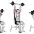 Barbell Seated Calf Raise