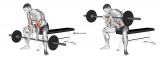 Barbell Seated Close-grip Concentration Curl