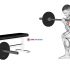 Barbell Seated Calf Raise