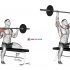 Barbell Seated Overhead Triceps Extension