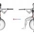 Barbell Seated Twist