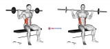 Barbell Seated Twist