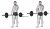 Barbell Shrug