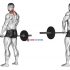 Barbell Seated Twist