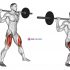 Barbell Side Split Squat