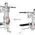 Barbell Side Split Squat