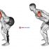 Barbell Single Leg Split Squat