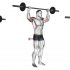 Barbell Standing Close Grip Curl
