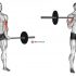 Barbell Standing Bradford Press