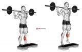 Barbell Standing Leg Calf Raise