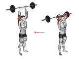 Barbell Standing Overhead Triceps Extension