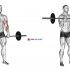 Barbell Wide Squat