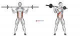 Barbell Standing Twist