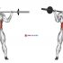 Barbell Standing Wide-grip Curl