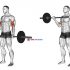 Barbell Step-up