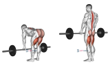 Barbell Straight Leg Deadlift