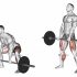 Barbell Upright Row