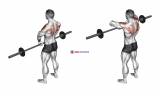 Barbell Upright Row (version 3)