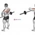 Barbell Upright Row (version 2)