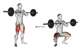 Barbell Zercher Squat