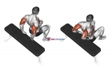 Bench Dip (knees bent)